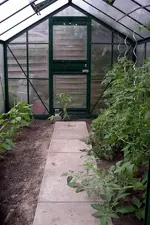 IMGP1293.webp