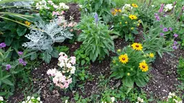 02_20170625_201031_resized_1.webp
