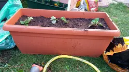 20_20170626_194420_resized.webp