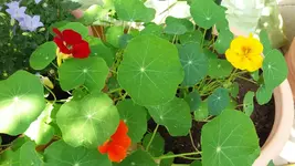 02_20170627_153659_resized.webp