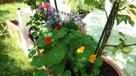 03_20170627_153637_resized.webp