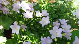 04_20170627_153649_resized.webp