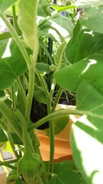 09_20170627_153134_resized.webp