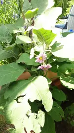 11_20170627_153128_resized.webp