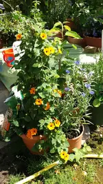 14_20170627_153024_resized.webp