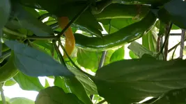 20170628_102858.jpg