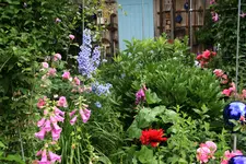 Juni9117pJPG.webp