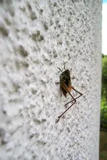 100_4397.JPG