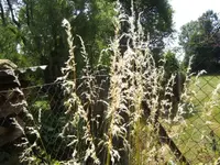 BILD7257.webp