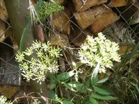 BILD7258.webp