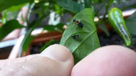20170628_102500.webp