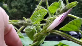 20170628_182921.webp