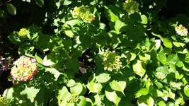 05_20170628_140805_resized.webp
