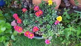 06_20170628_140656_resized.webp