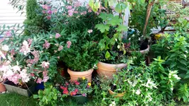 20170628_140647_resized.2.webp