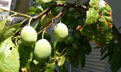 03_20170628_140709-1_resized.webp