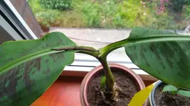 20170629_164355.jpg