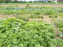 IMG_20170628_160439.webp