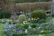 Frühling1416.webp