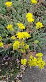 neue 016.webp
