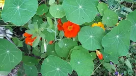 neue 018.webp