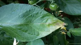 20170630_102011.webp