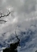 100_4383.webp