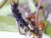 20170630_181219.webp