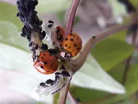 20170630_181248.webp