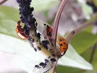 20170630_181252.webp