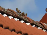 P1050824.webp