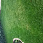 20170630_210722.webp