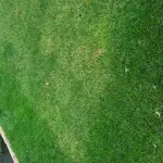 20170630_210705.webp