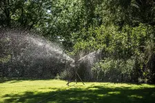 RAINBIRD No 40.webp