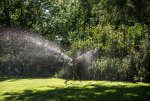 RAINBIRD No 40.jpg