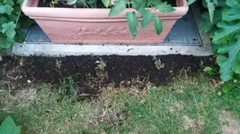 20170630_210527_resized.webp