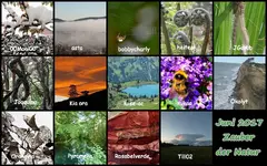 Juni 2017 Zauber der Natur - Copy.webp