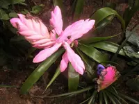 DSCI1381.webp