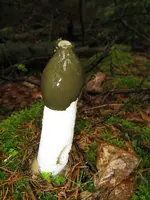 001_600x800.webp