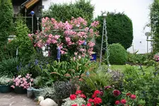 Terasse7517.webp
