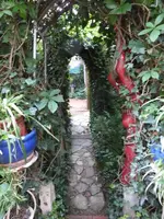 P1050380.webp