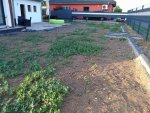 IMG_20170701_205131.jpg