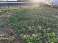 IMG_20170701_205125.webp