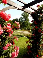Rosarium Baden - Pergola.webp