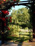 BAUER Kreis-und Sektorregner SB 82 im Rosarium Baden - 31.jpg