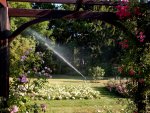 BAUER Kreis-und Sektorregner SB 82 im Rosarium Baden - 9.jpg