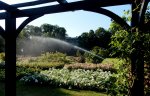 BAUER Kreis-und Sektorregner SB 82 im Rosarium Baden - 41.jpg