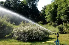 BAUER Kreis-und Sektorregner SB 82 im Rosarium Baden - 46.webp