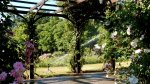 BAUER Kreis-und Sektorregner SB 82 im Rosarium Baden - 38.jpg