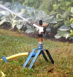 BAUER Kreis-und Sektorregner SB 82 im Rosarium baden - 1.webp